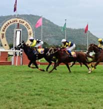 Maharaja`s Cup Belongs to Mayne Magic